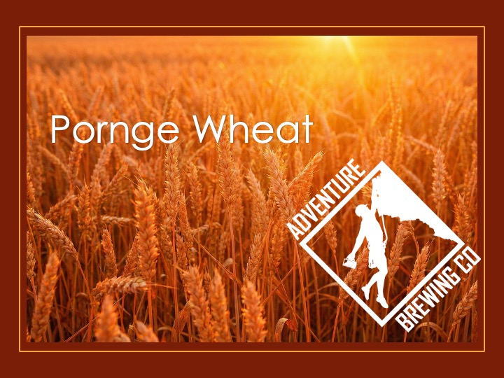 Pornge Wheat
